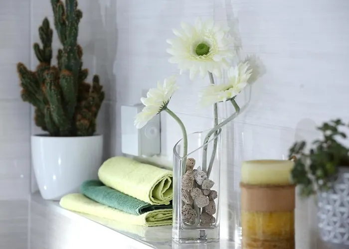 Toni * ヴォディツェ